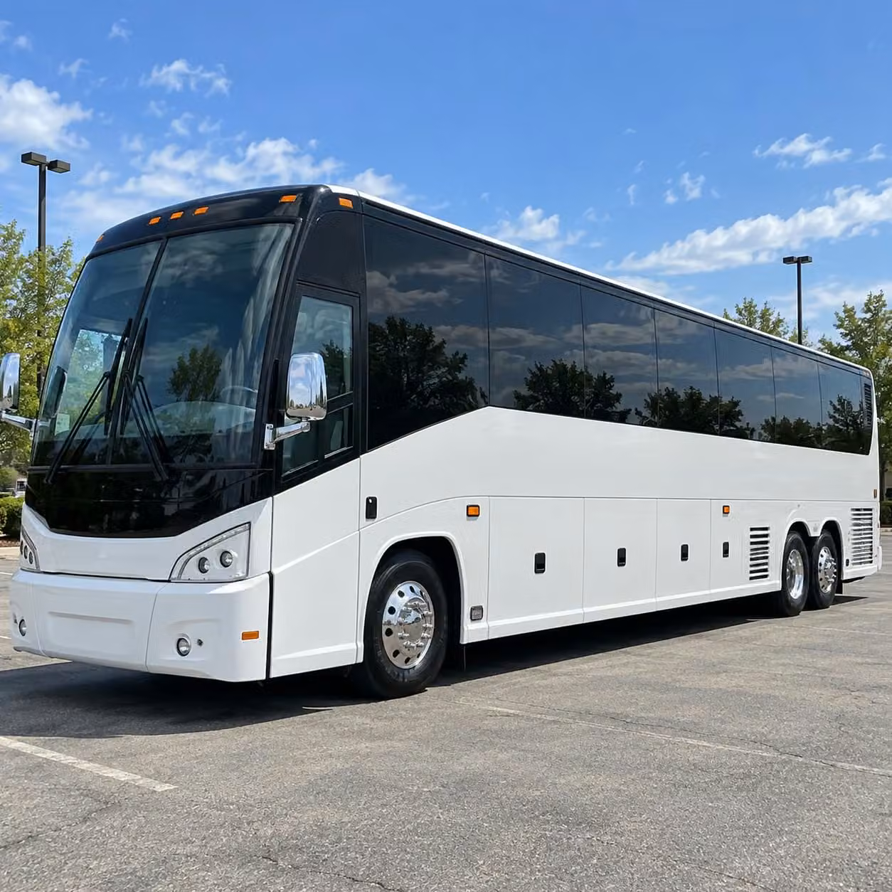 56 passenger charter bus