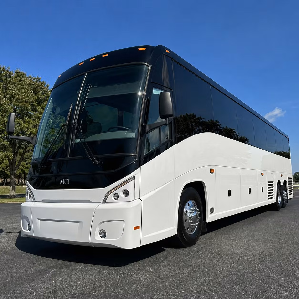 palm bay corporate groups and convention travelers ride in style
